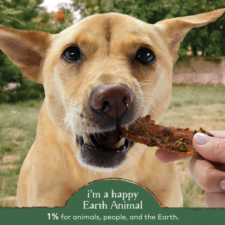 Earth Animal Tenders Fresh Chicken Jerky Dog Treats