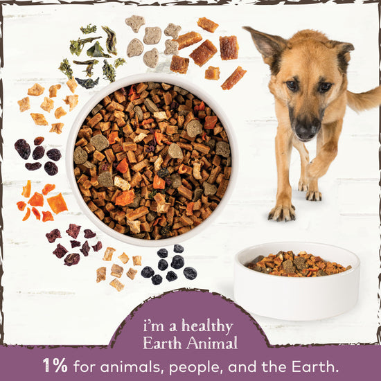 Earth Animal Wisdom Turkey Air-Dried Dog Food